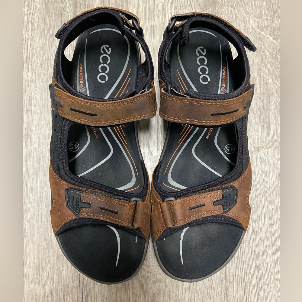 Ecco Yucatan Receptor Technology Hiking Espresso Leather Sandals